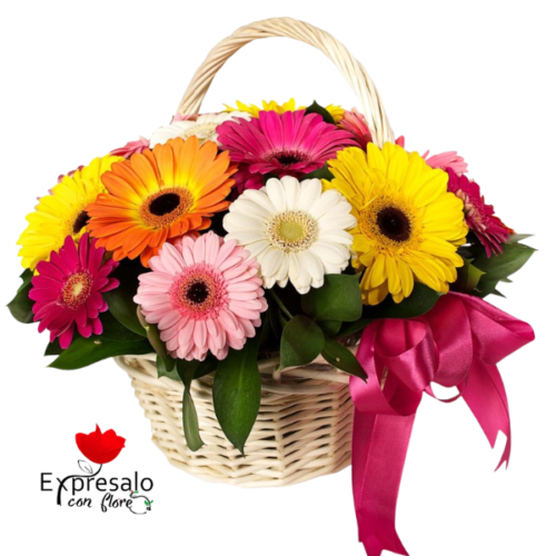 Canasto con Gerberas Surtidas