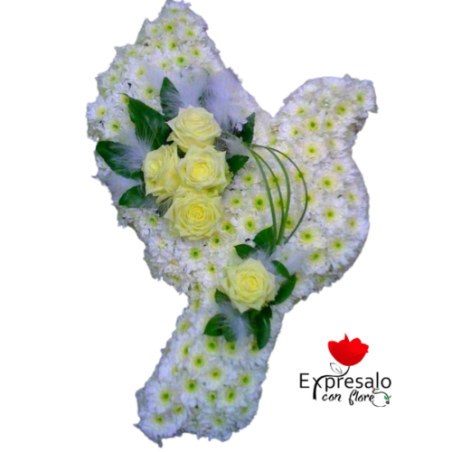 Diseño Paloma de Condolencias
